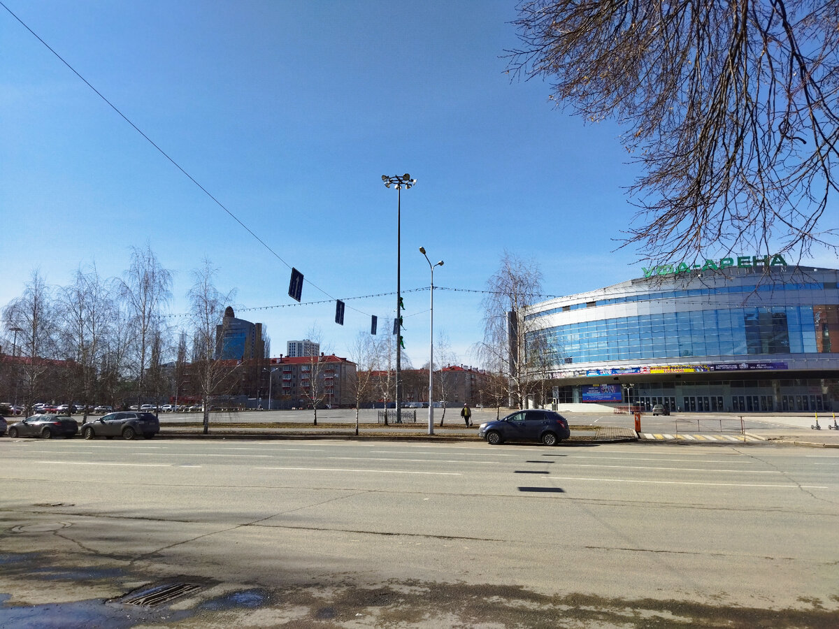 Фото не относится к теме статьи, снято во время прогулки. 