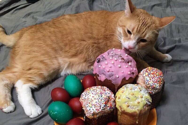 ���������� ������. ��������, ������� ���� �����. �������� ����: tvcenter.ru