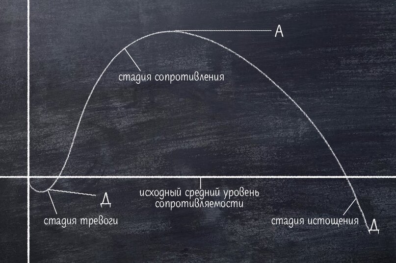 график 1