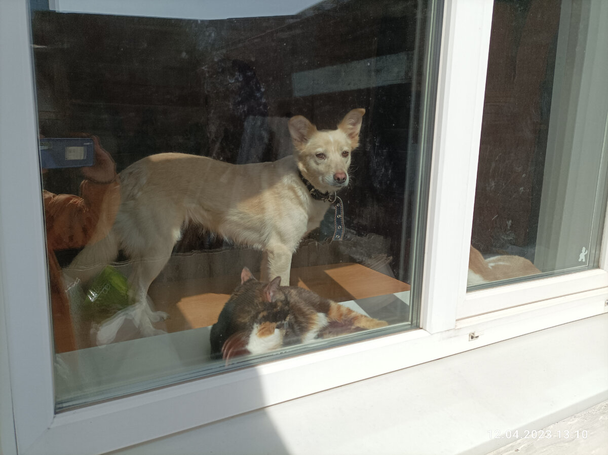 Вид с улицы. 