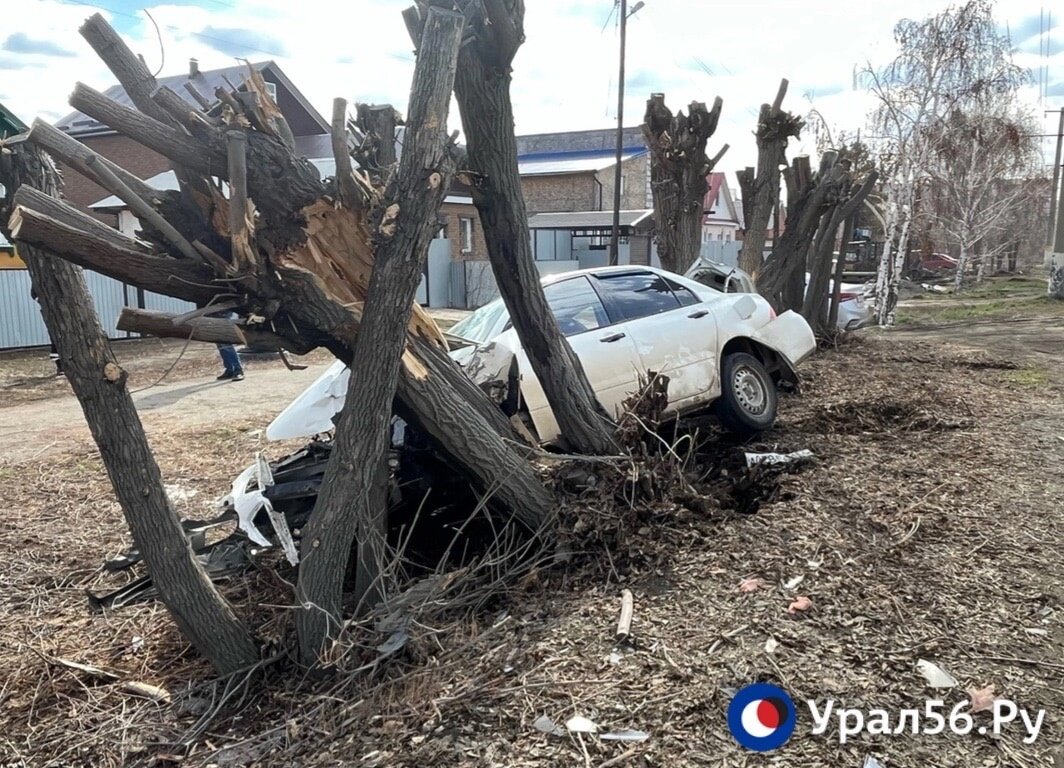    В Орске иномарка врезалась в дерево. Пострадали 4 человека