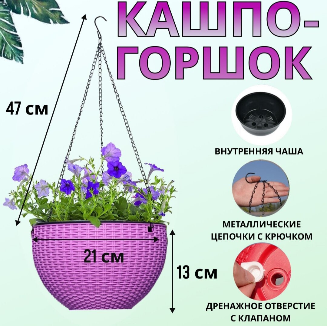 Как появилось подвесное кашпо для цветов? | Vita Ricca | Дзен