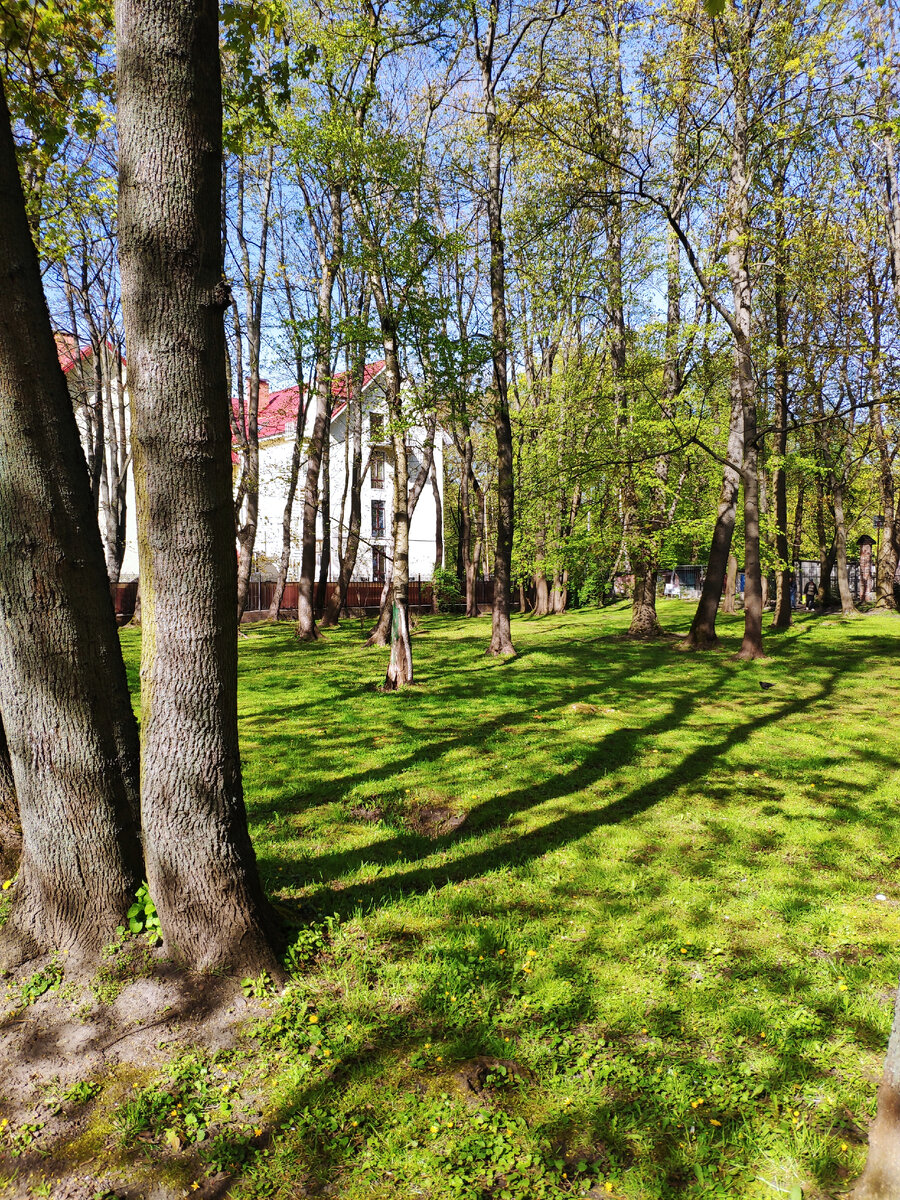 Сегодня в Калининграде так солнечно и хорошо,правда температура всего 13 градусов 