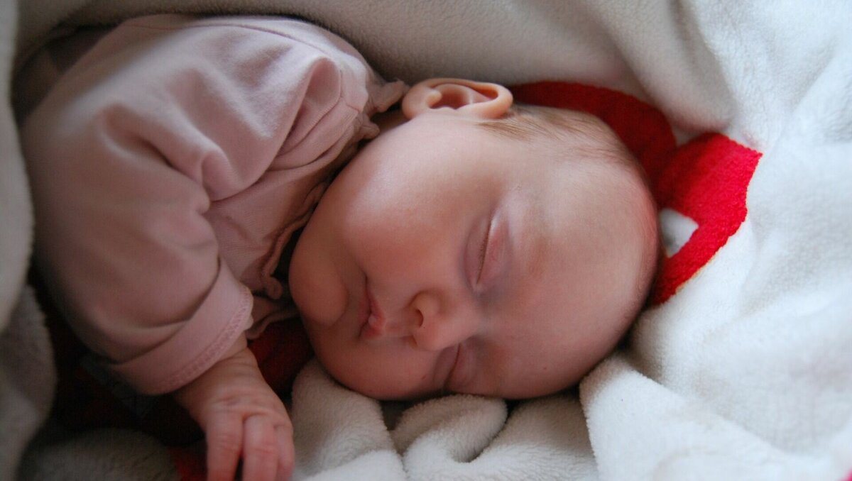     В Ростовской области не знают, что делать с зерном, пока в Ростове с постов уходят сотрудники полиции и ведется расследование дела об убийстве восьмимесячной девочки.