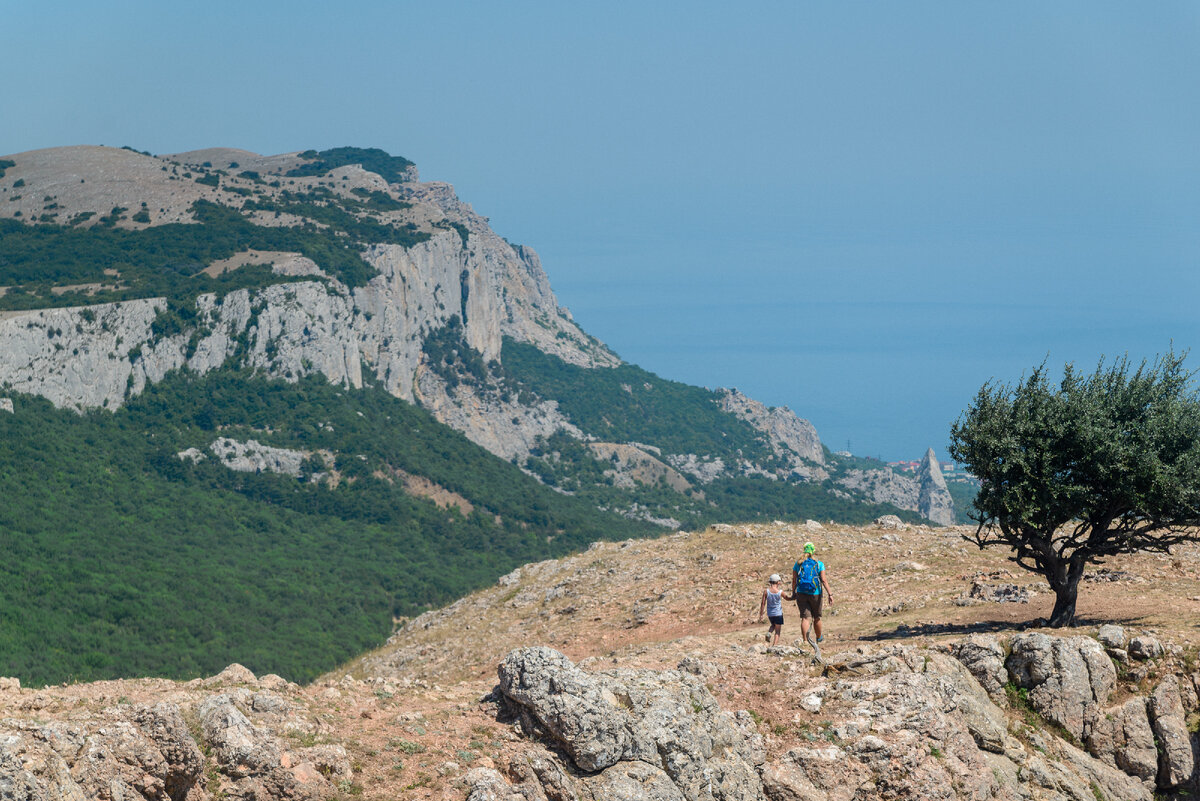 Вид с Ильяс-Кая [Фото: В. Муравин]