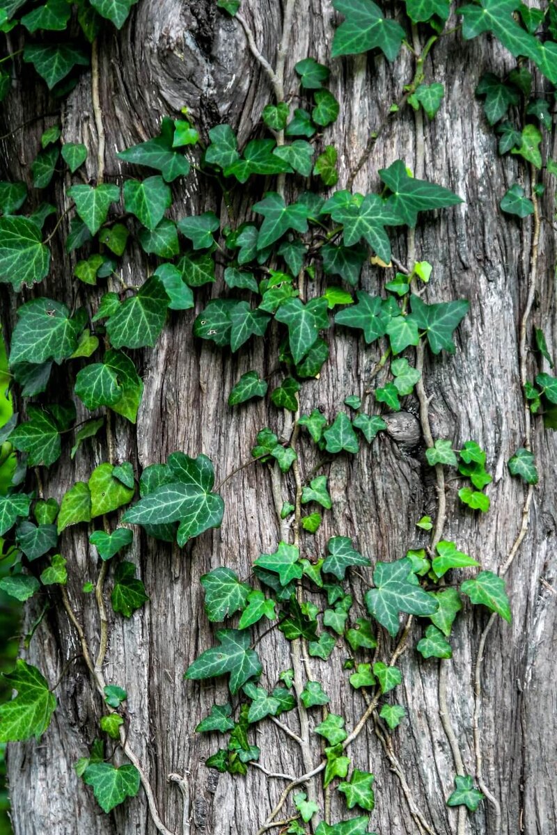    unsplash.com