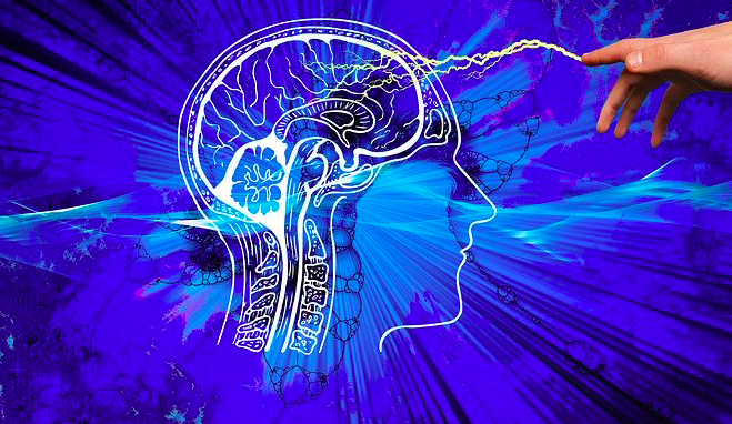    Фото: pixabay.com