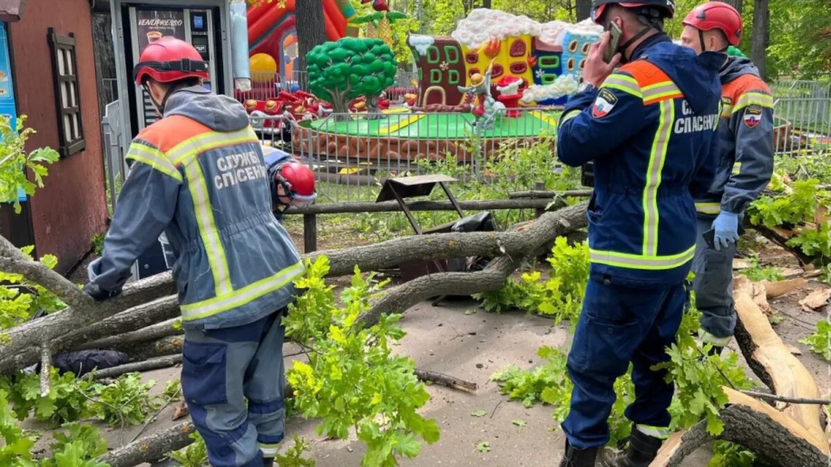 Фото: Мэрия Саратова