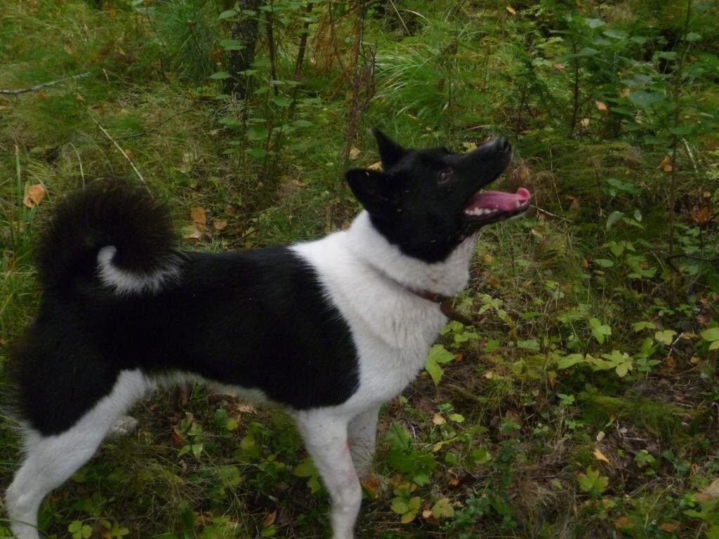 фото из интернета