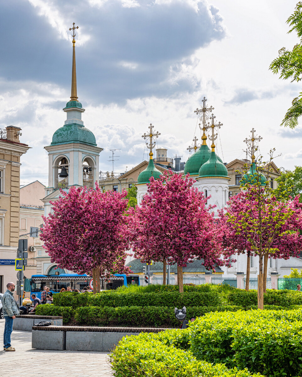 красивые места в москве весной для