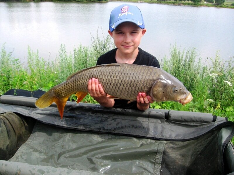 И дети ловят карпов