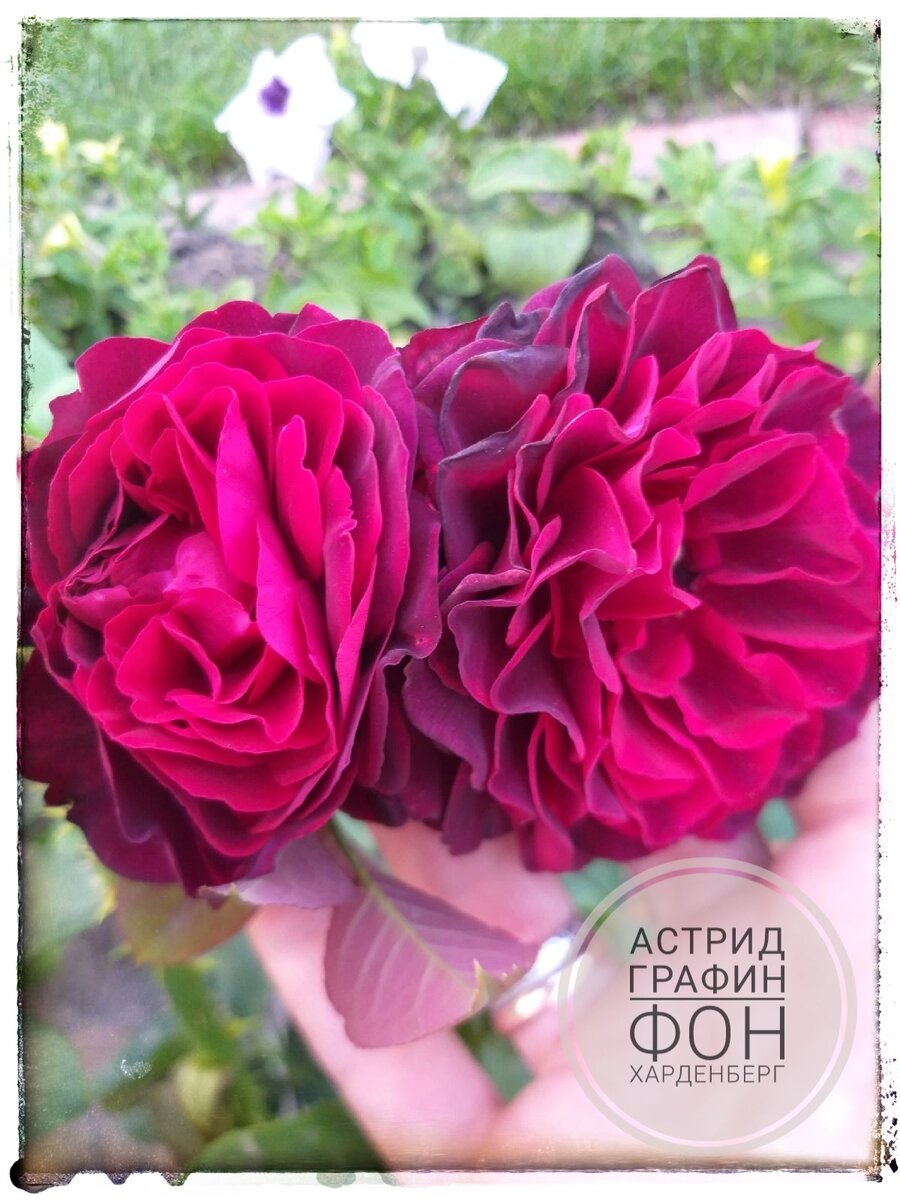 Но красотка какая!