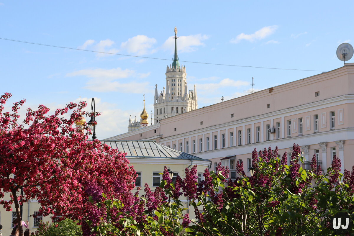 Фото: Алиса Хохлова
