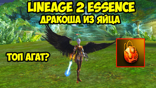 Мешочек с агатионом дракона в Lineage 2 Essence.