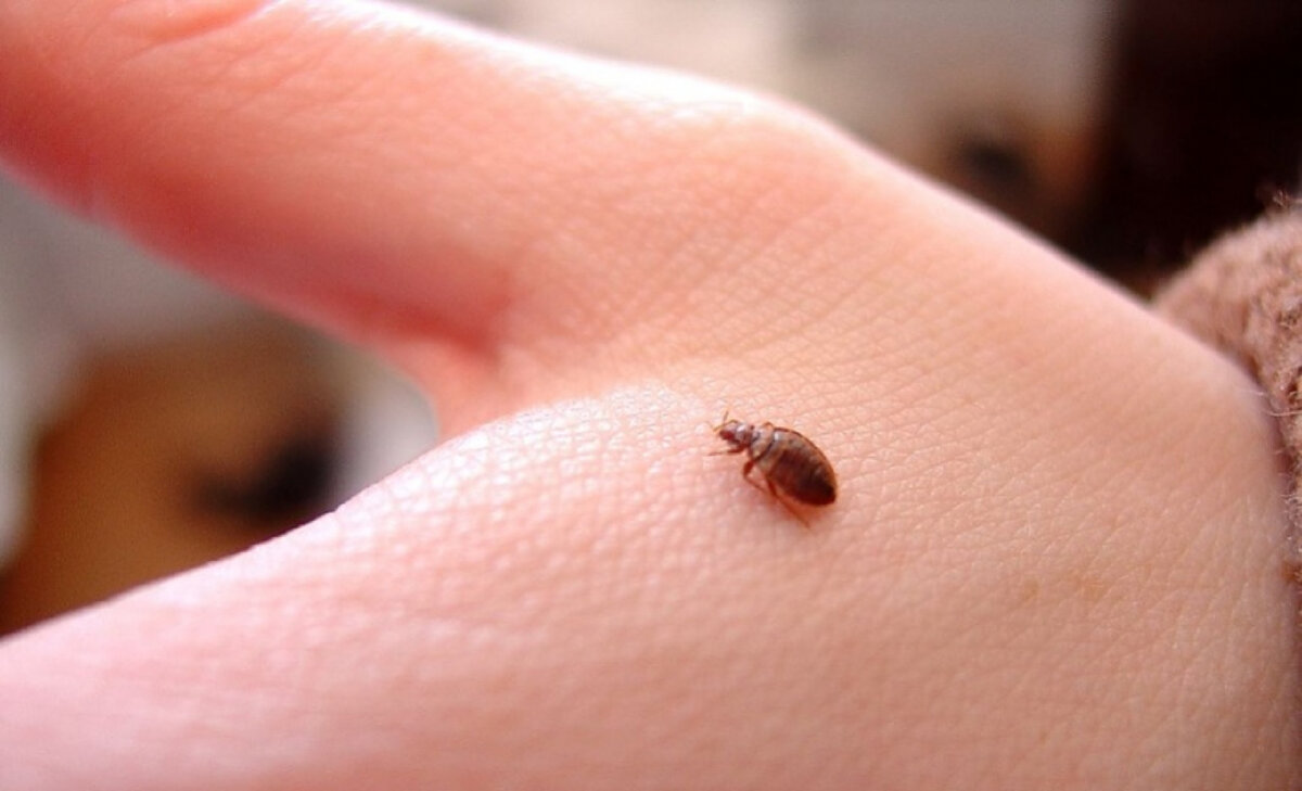 запор у ребенка грудничка. можно ли маленького. спящие дети в детском доме. можно ли маленького. самопроизвольный выкидыш.