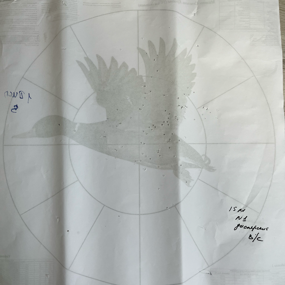 Дробь №1, 15 метров, верхний ствол.