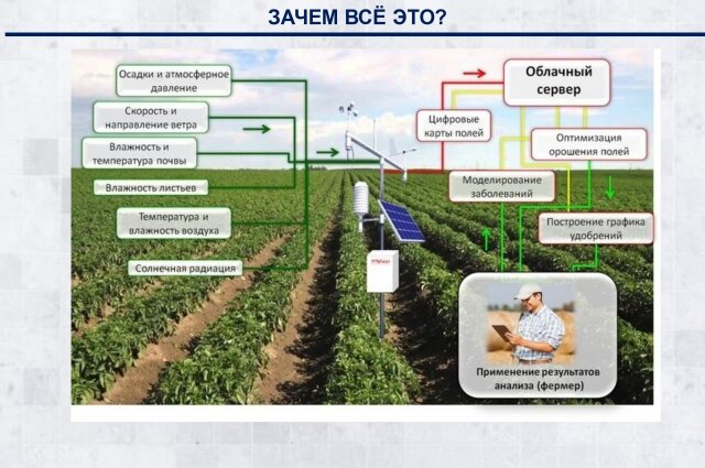    Фото:  АиФ/ Предоставлено пресс-службой ЮФУ.