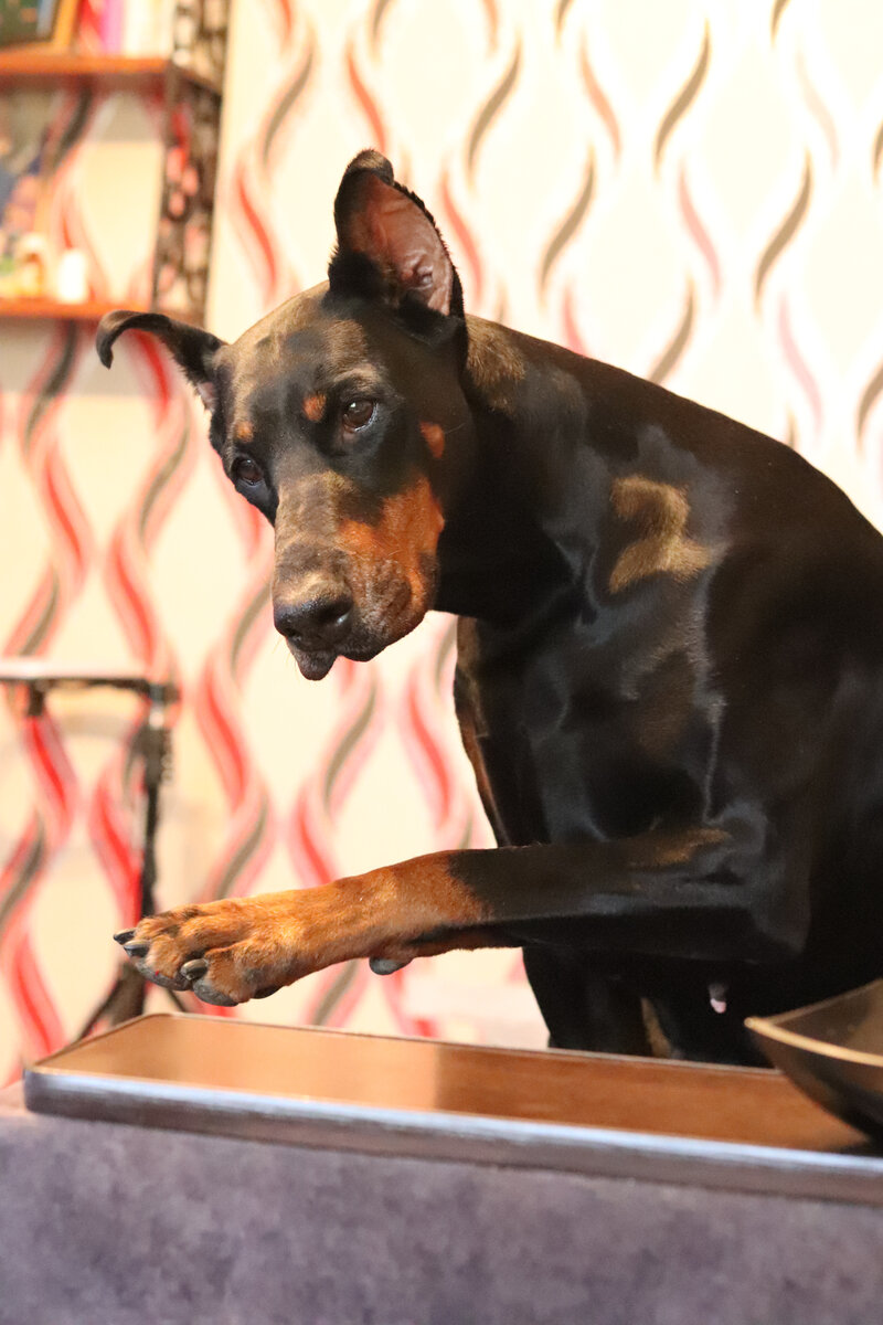 Попыталась сделать похожее фото, но немного не то 😁