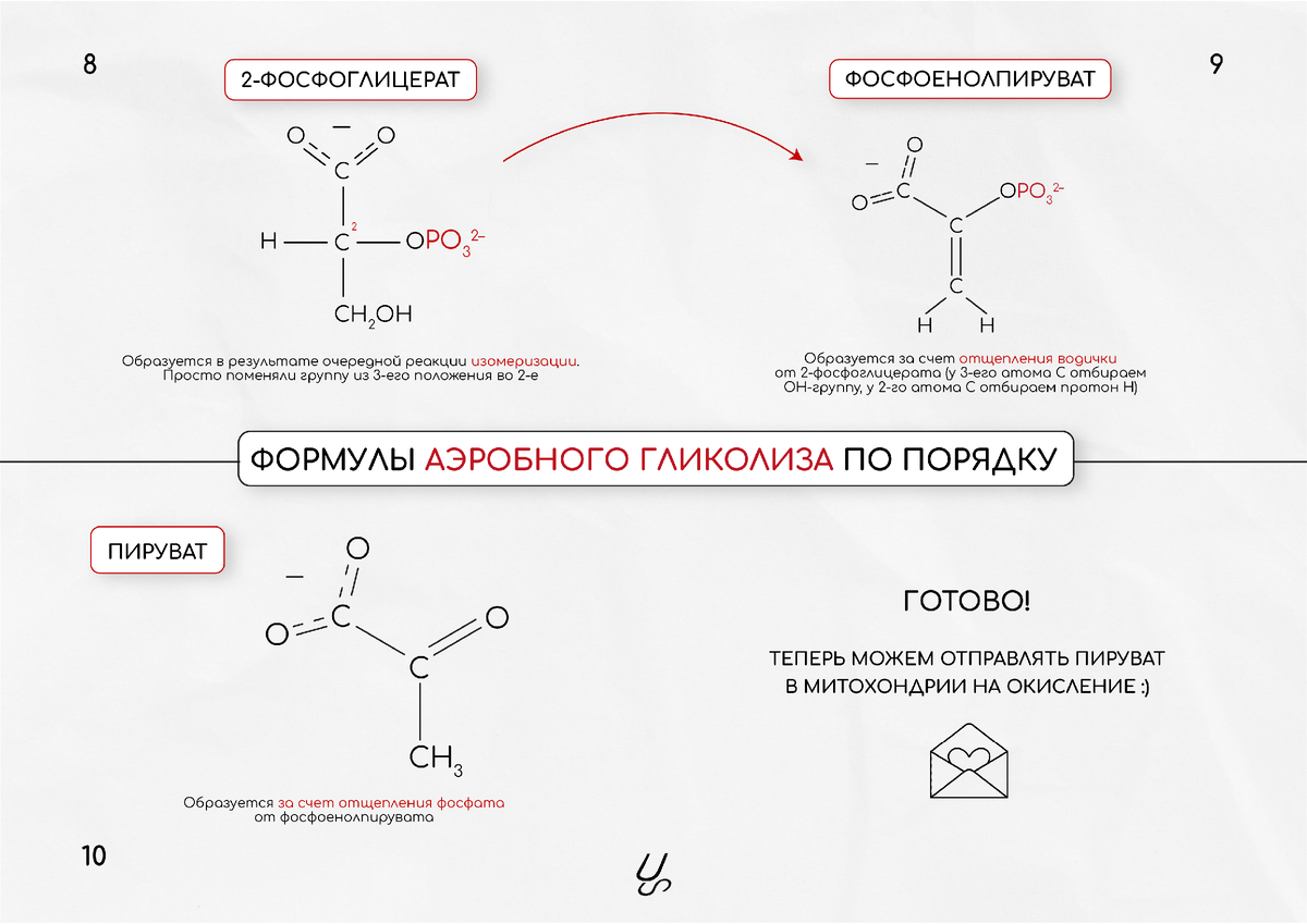 Гликолиз формула. Гликолиз 10 формул. Гликолиз формулы биохимия. Аэробный гликолиз формула. Шестиуглеродный сахар образуется в результате гликолиза