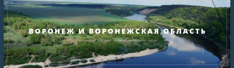 Воронеж и воронежская область