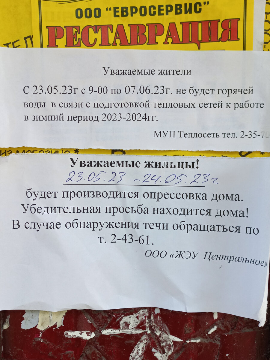 Лето пришло , отключили горячую воду , а у меня еще новогодние конфеты не  съедены | Беретка | Дзен