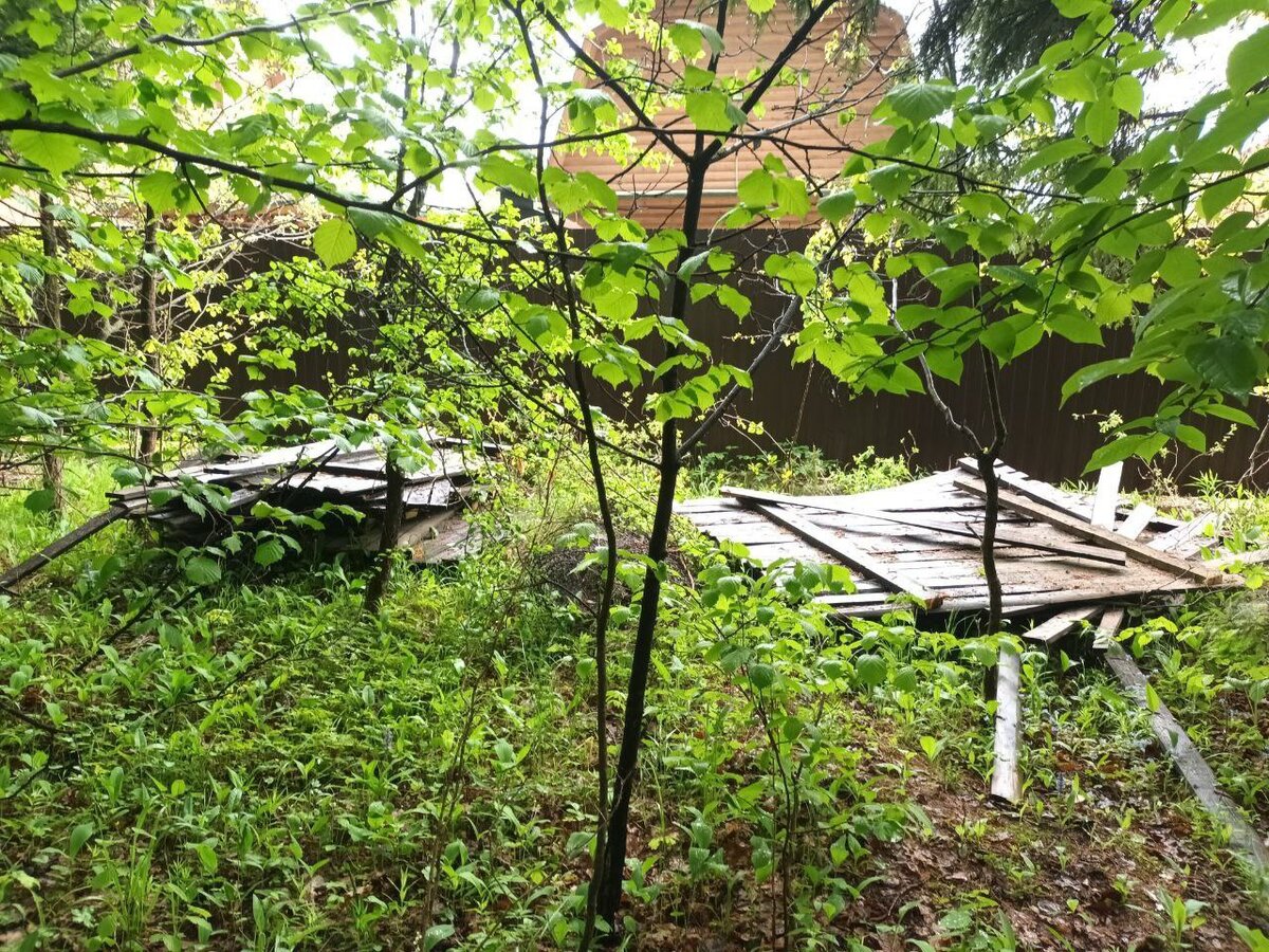 Строительный мусор в лесу