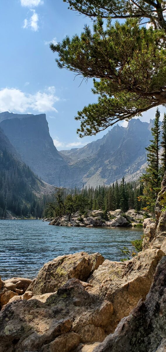 В конце лета