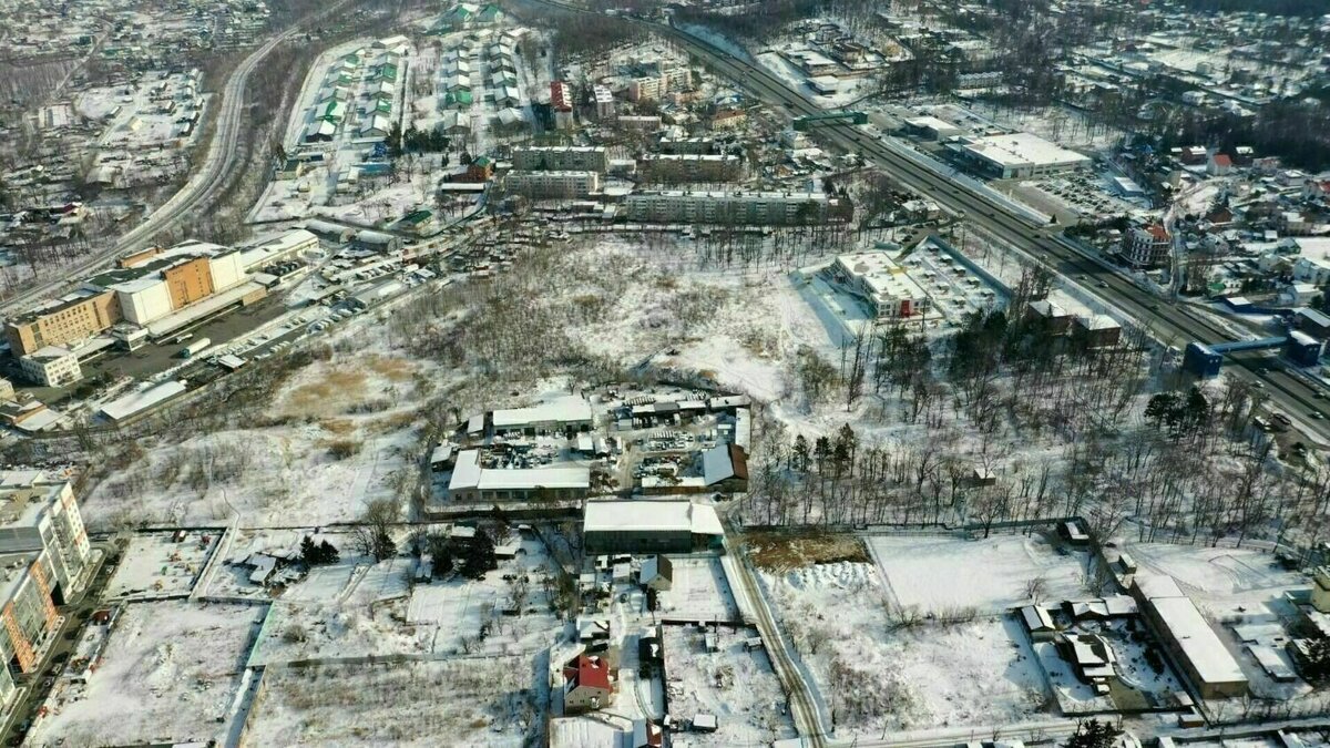     Есть ли в лесном массиве на Успенского в пригороде Владивостока краснокнижные растения и животные? Эксперты-юристы предлагают привлечь биологов и заняться поиском эндемиков — исчезающих видов растений, насекомых, птиц или животных.