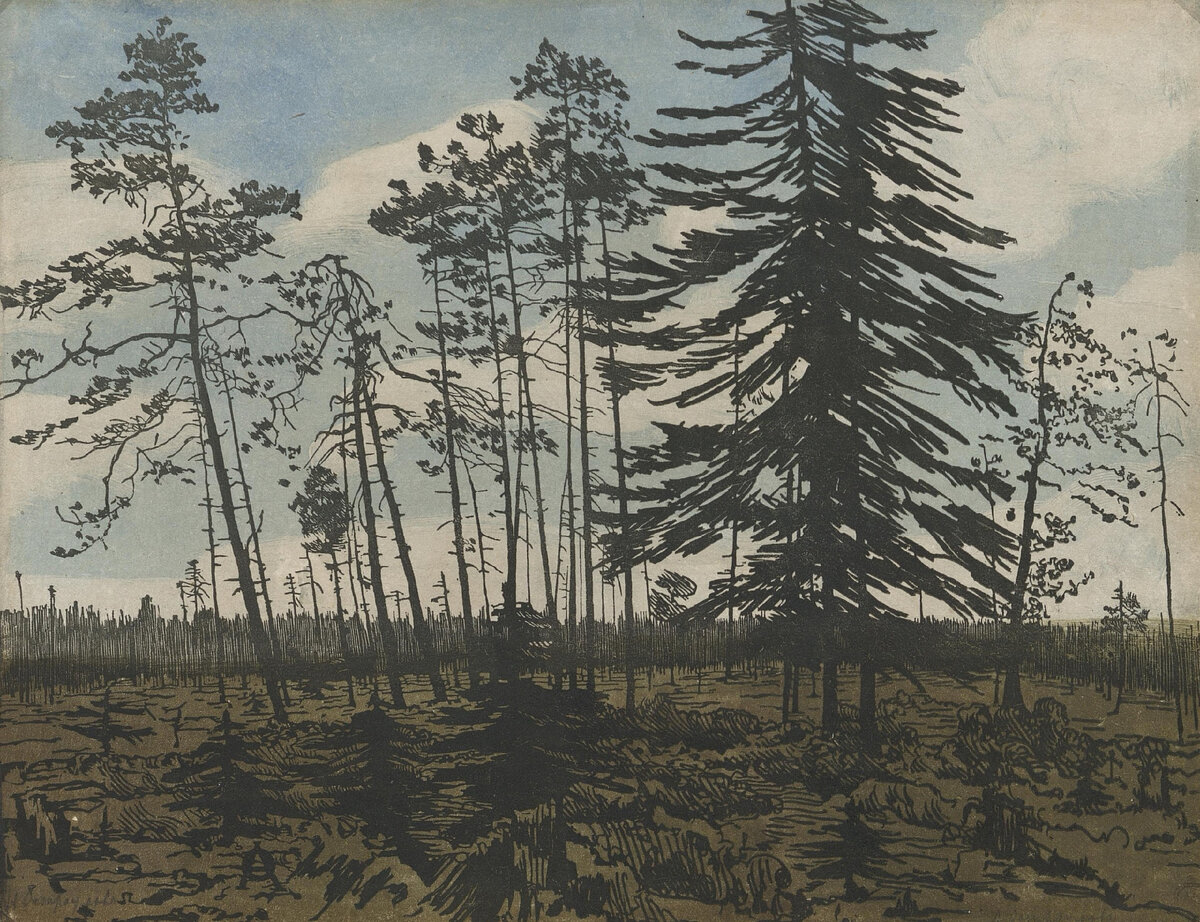 Анна Петровна Остроумова-Лебедева (1871–1955)
Финляндия с голубым небом
1900
Цветная ксилография
НИМ РАХ