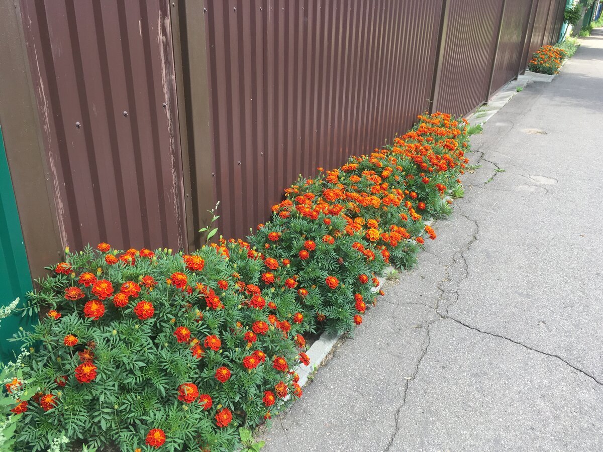 Добавьте описание