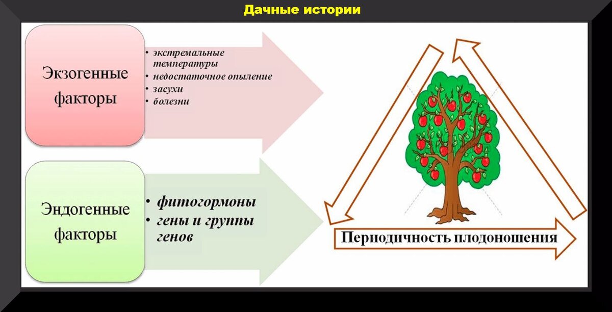 https://vk.com/photo-159774511_457260588