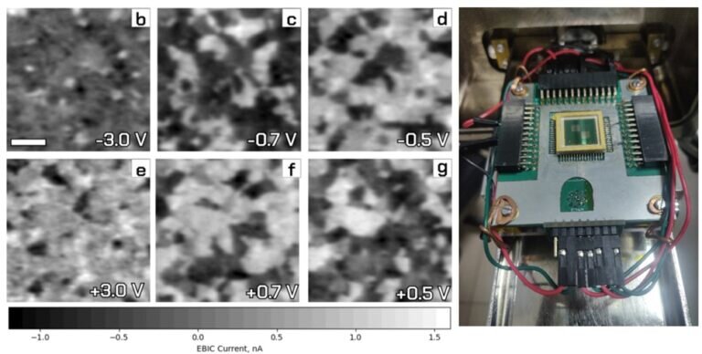   Слева — доменная структура образца при напряжениях от –3 до 3 В. Светлые фрагменты соответствуют доменам с поляризацией вверх, темные — с поляризацией вниз. Справа — фрагмент экспериментальной установки, столик, на который помещается образец, а затем освещается электронным пучком. Столик подсоединен к токовому усилителю и источнику напряжения / ©Пресс-служба МФТИ