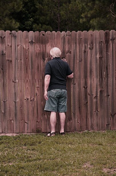 Фотография из открытых источников, программно изменена