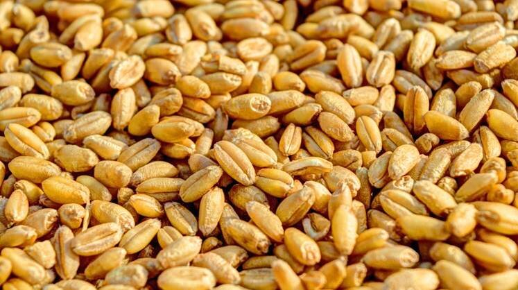    piqsels.com