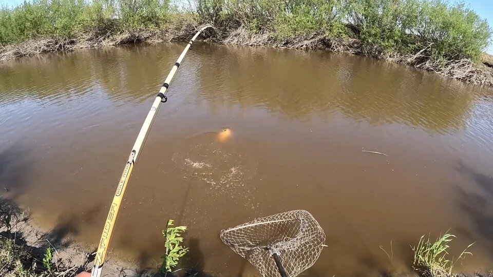 Фото использовано с сайта Яндекс.Картинки