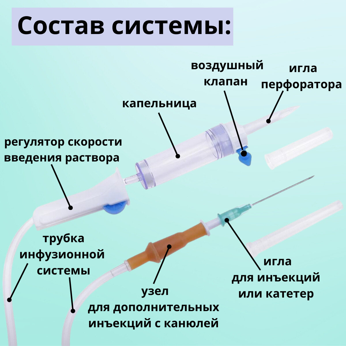 Проверили идею из интернета. Система полива оказалась ненадёжной. |  Усадебка | Дзен