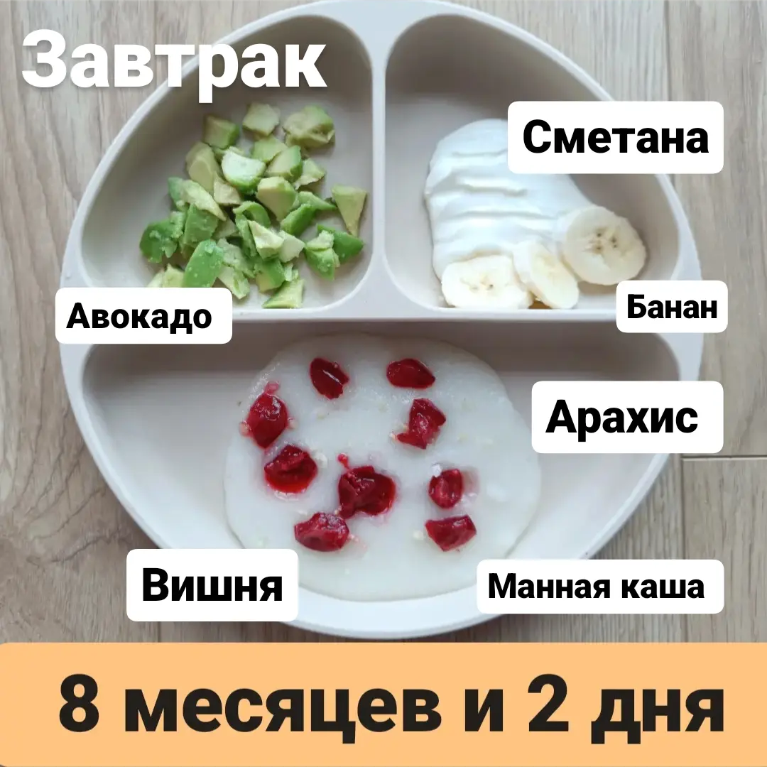 Пример тарелки в 8 месяцев 