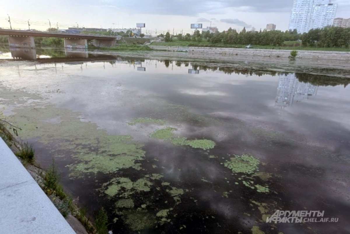 Какая рыба водится в реке миасс в челябинске