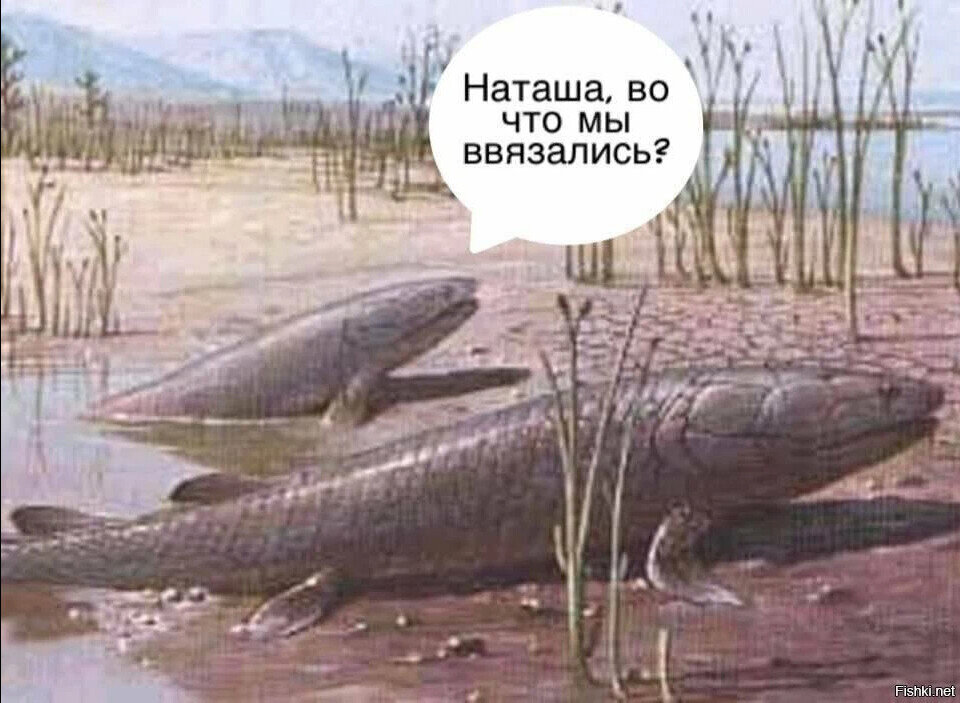 Картинка из сети для иллюстрации статьи
