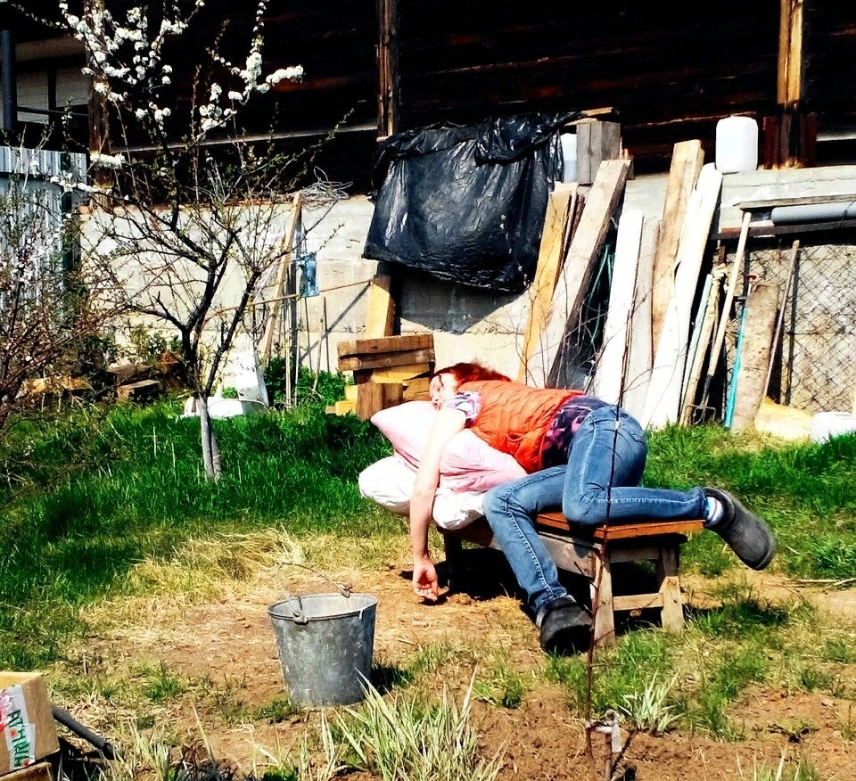 яндекс картинка