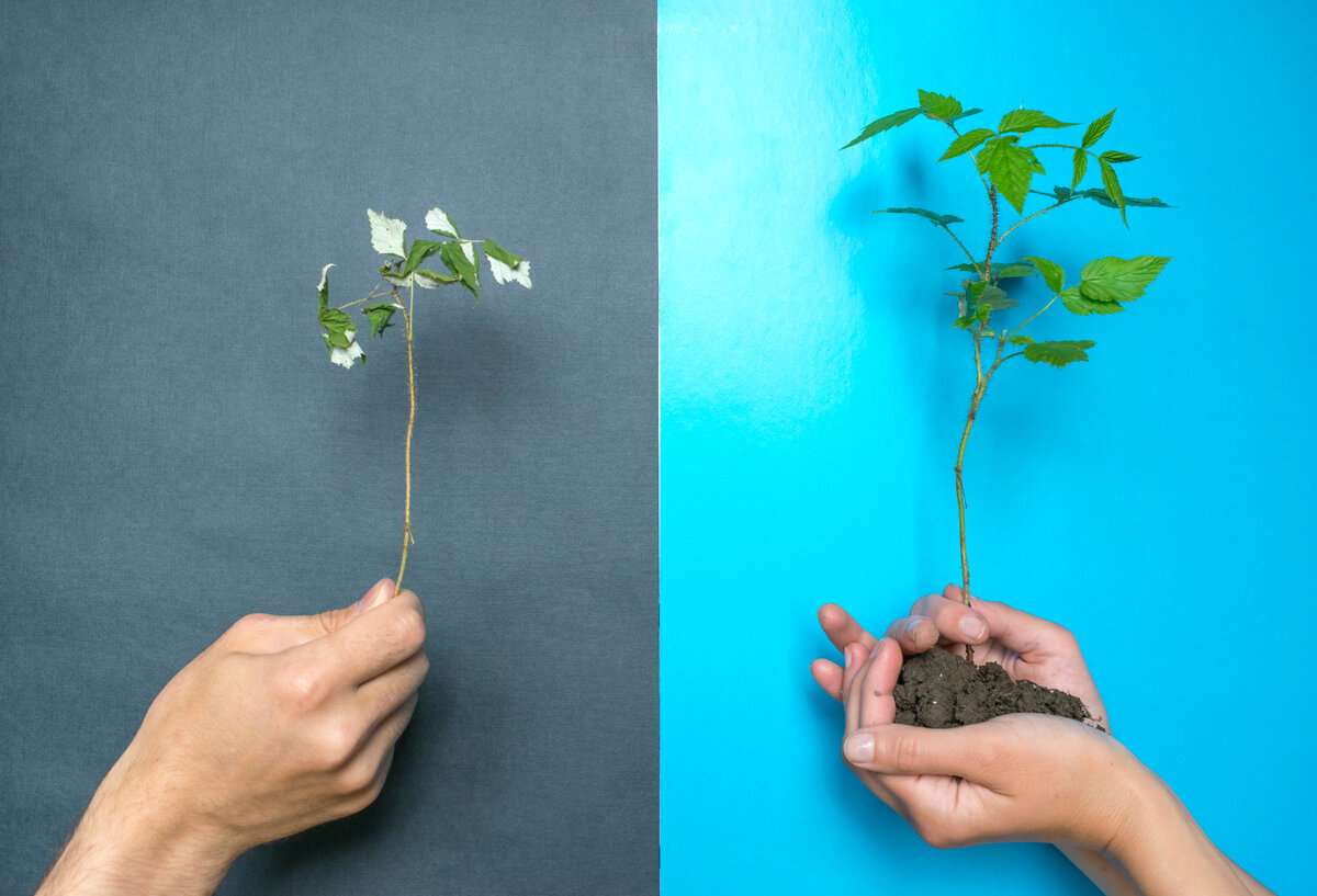 Пусть же урожай будет хорошим!