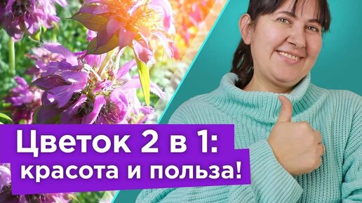 Эффектный цветок с ароматом бергамота! Цветет все лето, еще и полезный