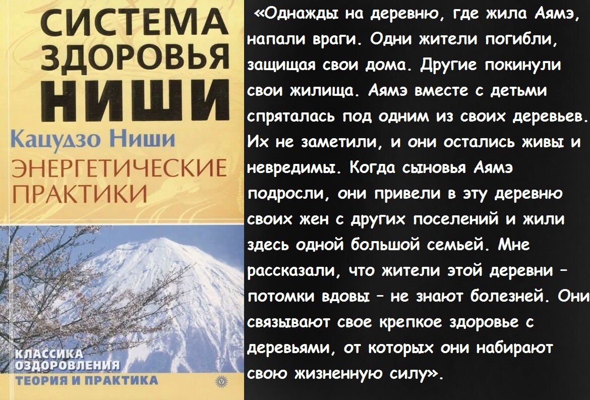 Свою жизненную силу можно восполнить с помощью растений и деревьев».  Кацудзо Ниши о способах получения природной энергии | Просто Жить | Дзен