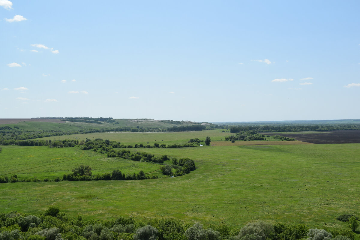 Пойма реки Тихая Сосна
