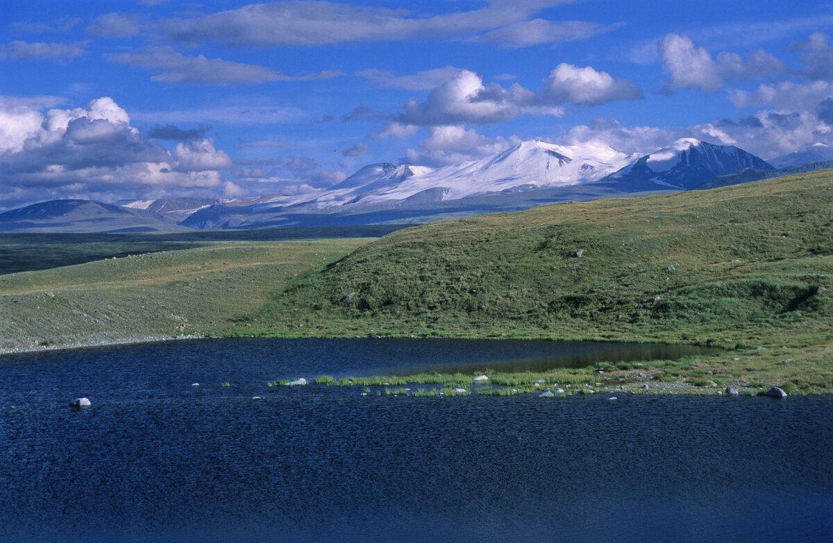 РЈРєРѕРє 2012 Denikin