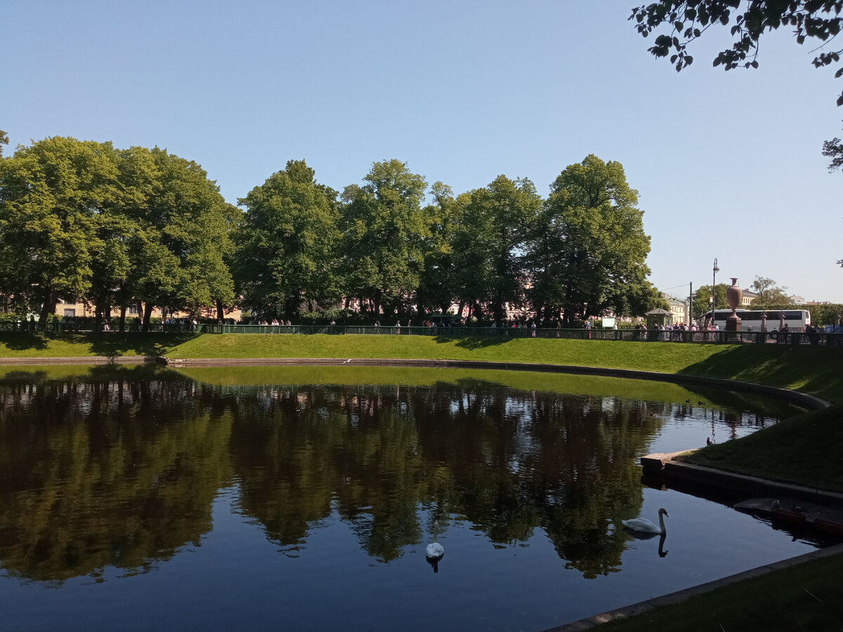 Чудесная пара лебедей Любава и Елисей переезжает в Карпиев пруд из зоопарка каждое лето с 2021 года. До этого там жили родители Елисея – Руслан и Людмила.