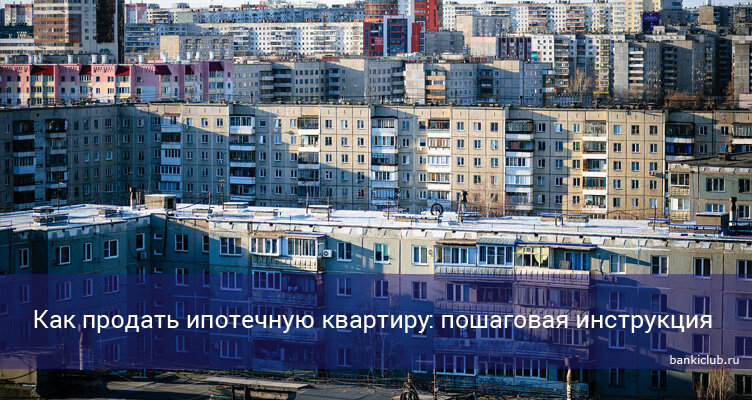 Фото: pixabay.com