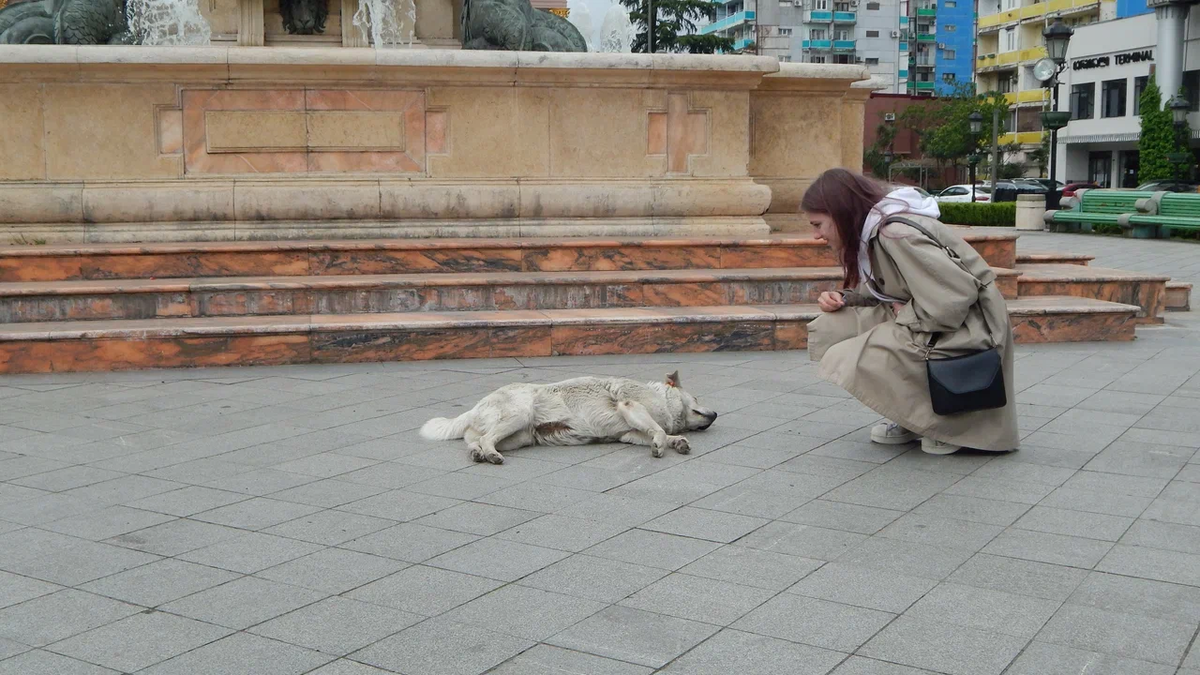 А для моих детей в Грузии любое знакомство с собакой было приятное:)