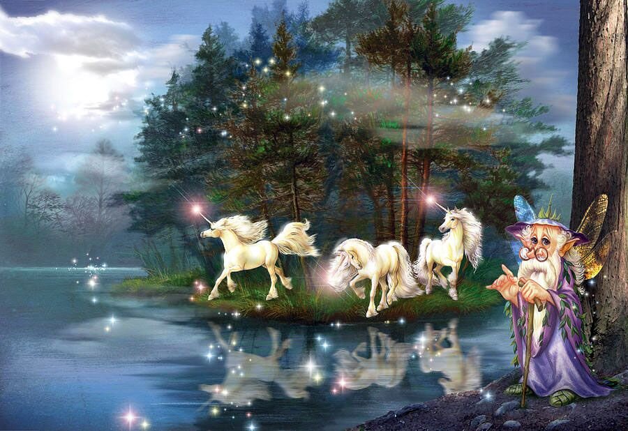 Фото взято из интернета 