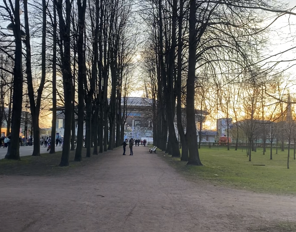 Фото автора.